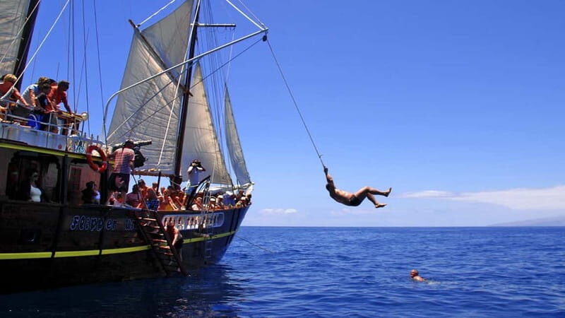 Los Gigantes: Dolphin & Whale Watching Tour on a Pirate Boat - Cliffs of Masca & Los Gigantes Views