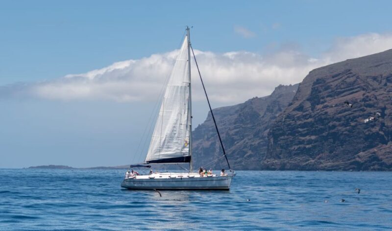 Los Gigantes: Sailing Excursion with Swimming, Drink & Tapas - Who Is This Tour Best For?