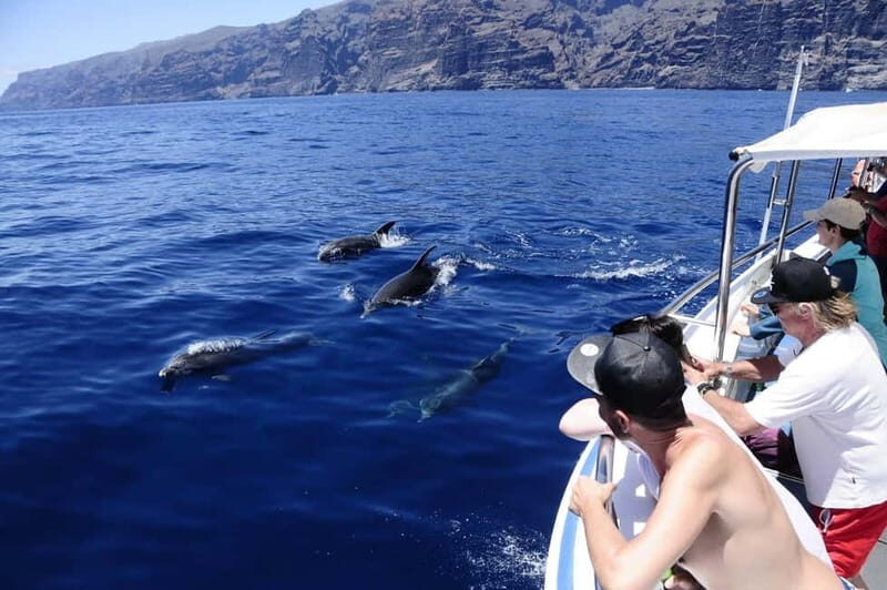 Los Gigantes: Whale or dolphin watching and swimming tour in Masca - An In-Depth Look at This Whale & Dolphin Tour