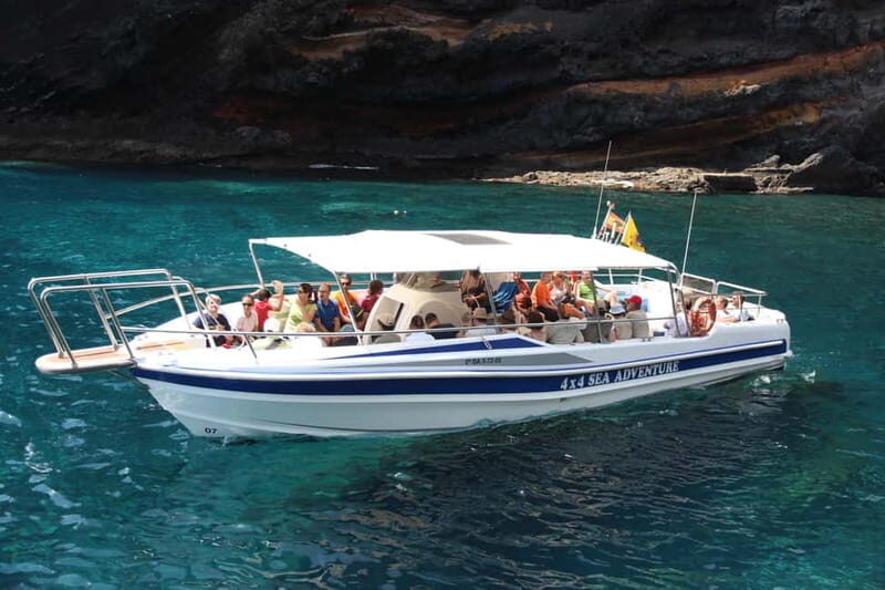 Los Gigantes: Whale or dolphin watching and swimming tour in Masca - Frequently Asked Questions