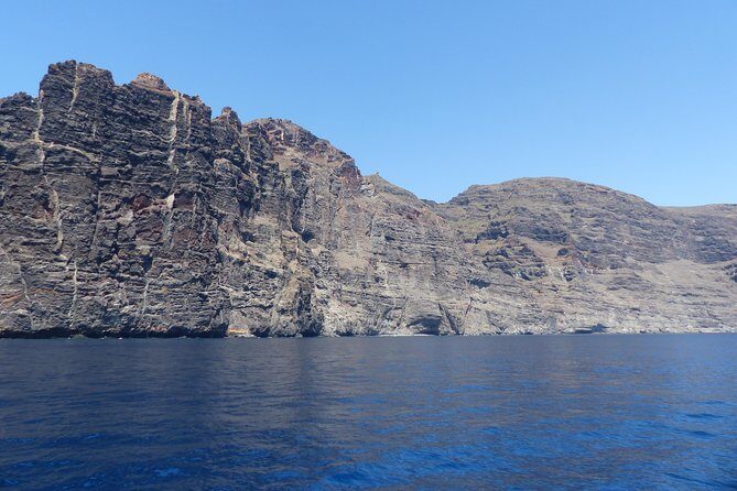 Los Gigantes Whale Watching Charter by Sail Boat - The Crew: The Real Heart of This Experience