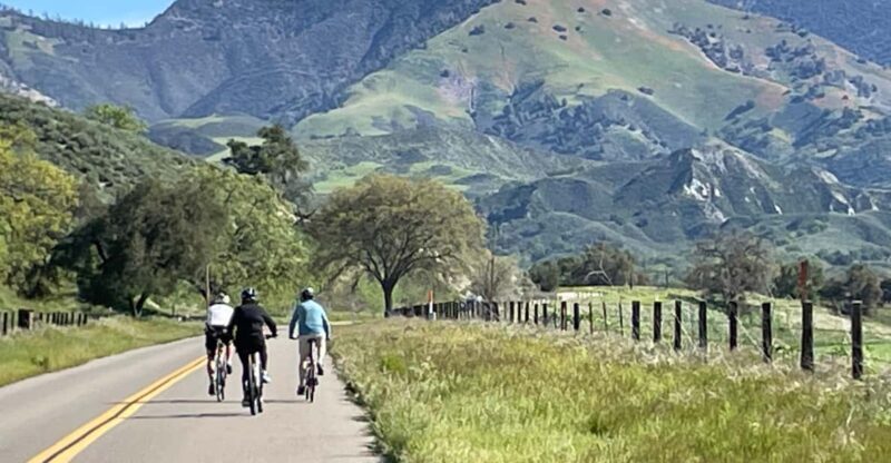 Los Olivos: E-Bike Tour + Vineyard Lunch w/Wine Tasting - Overview of the Experience