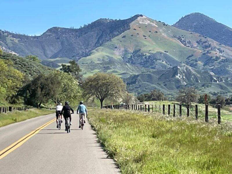 Los Olivos: E-Bike Tour + Vineyard Lunch w/Wine Tasting - Return Journey & Overall Atmosphere