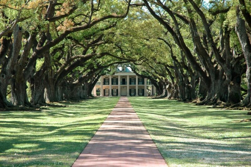 Louisiana: Laura, Oak Alley, or Whitney Plantation Tours - What the Reviews Say