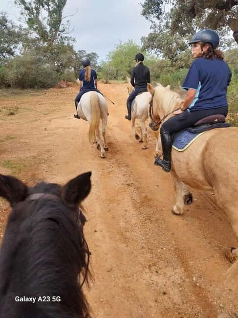 Loulé: Guided Horse Riding in the Hills of salir - Who Would Love This Tour?
