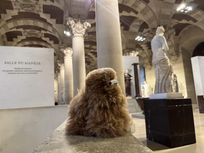 Louvre Museum Entry Ticket and Private Guided Tour - Who Should Consider This Tour?