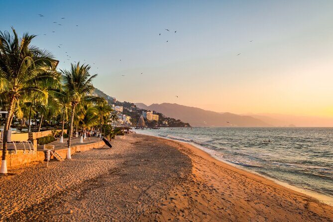 Love on the Boardwalk in Puerto Vallarta - Private - A Closer Look at the Tour Experience