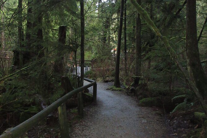 Love the Land Indigenous Walking Tour Capilano River Hatchery - The Experience: What to Expect