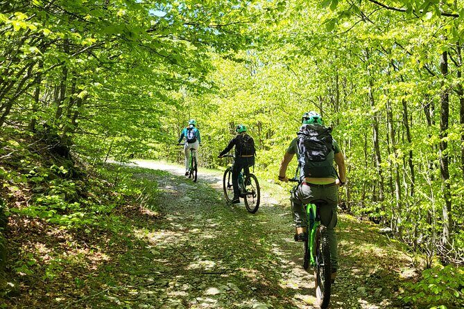 Loven with E-bike Serpentine Road to Kotor Cable Car - The Serpentine Road and Local Delights