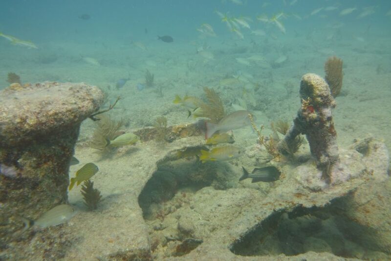 Lower Grand Lagoon: Panama City Beach Guided Snorkeling Tour - FAQ