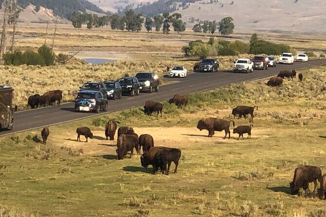 Lower Loop Hot Springs Geysers Private West Yellowstone - Overall Thoughts