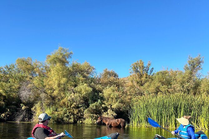 Lower Salt River Guided Kayak Tours - FAQ