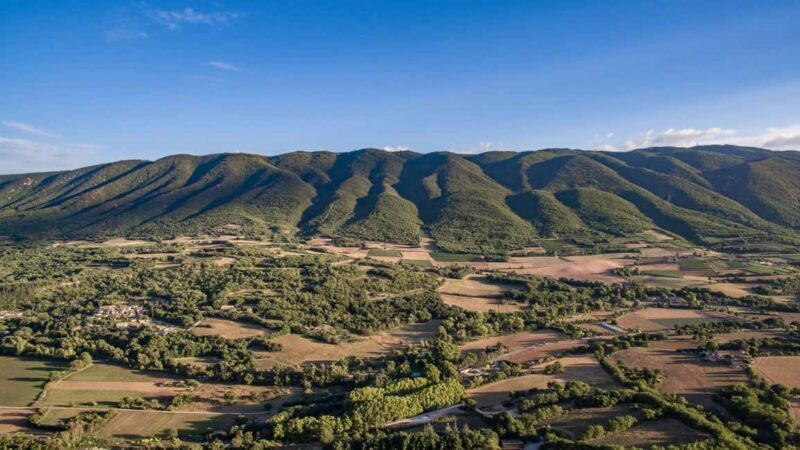 Luberon: Full-Day Wine Tour from Marseille - Is This Tour Worth It?