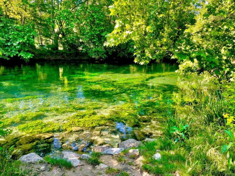 Luberon, Roussillon & Gordes Half-Day Tour from Avignon - A Closer Look at the Tour Itinerary and Experience