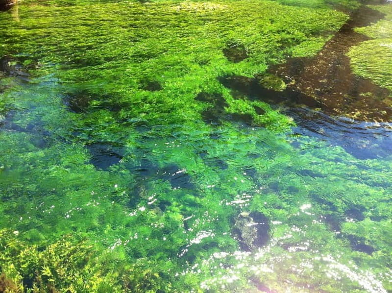 Luberon villages Full-day tour from Aix-en-Provence - Things to Keep in Mind