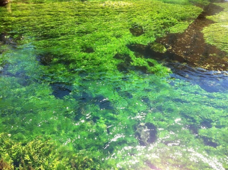 Luberon villages Full-day tour from Aix-en-Provence - Who Is This Tour Best For?