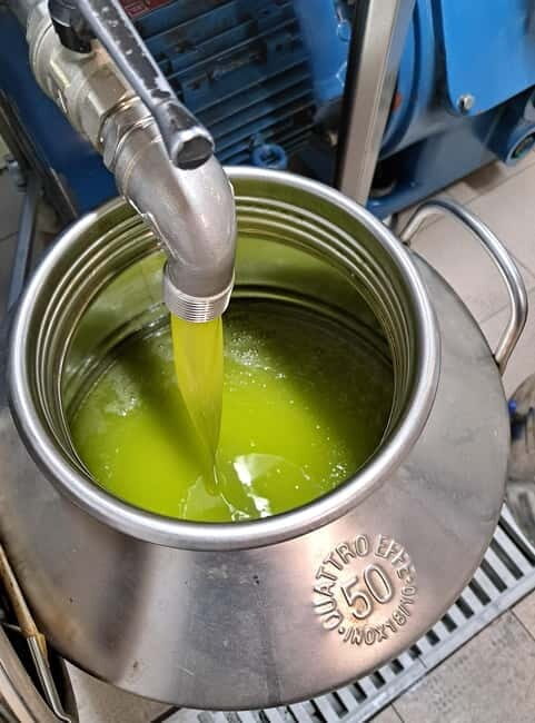 Lucca: Azienda Agricola San Pietro Winery Tour with Tasting - The Tour Breakdown