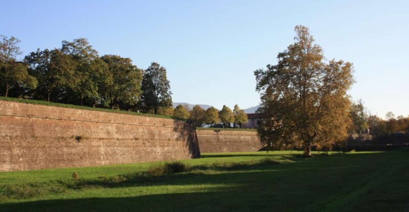 Lucca: bike tour & aperitivo - Discovering Lucca on Two Wheels