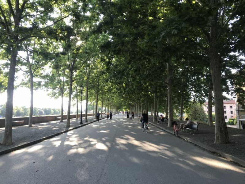 Lucca: City Bike One-Day Rental - Why This Bike Rental Stands Out