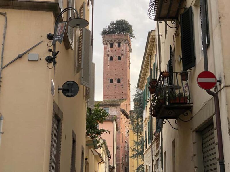 Lucca: guided visit of S. Martino, S. Frediano, city center - FAQ