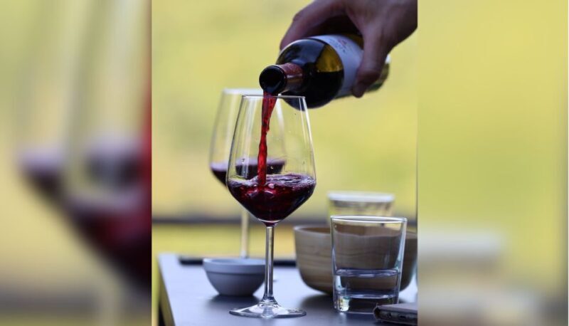 Lucca: Guided Winery Tour with Wine Tasting - Who Should Consider This Tour?