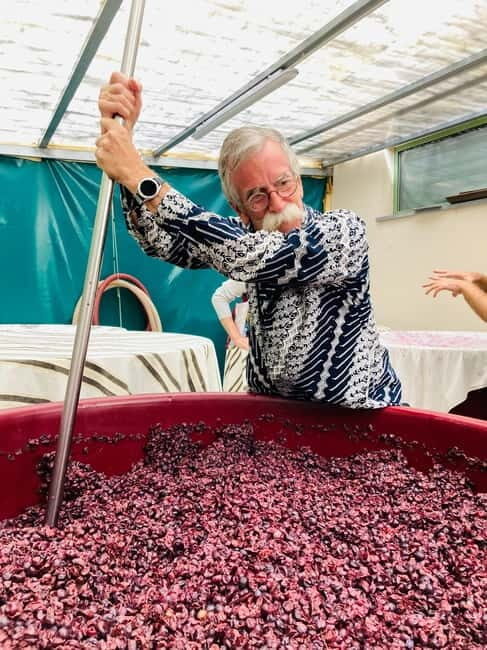 Lucca - Natural wine tasting at Tenuta Mareli - A closer look at what to expect during your visit