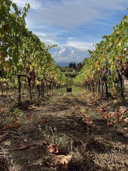Lucca - Natural wine tasting at Tenuta Mareli - FAQs