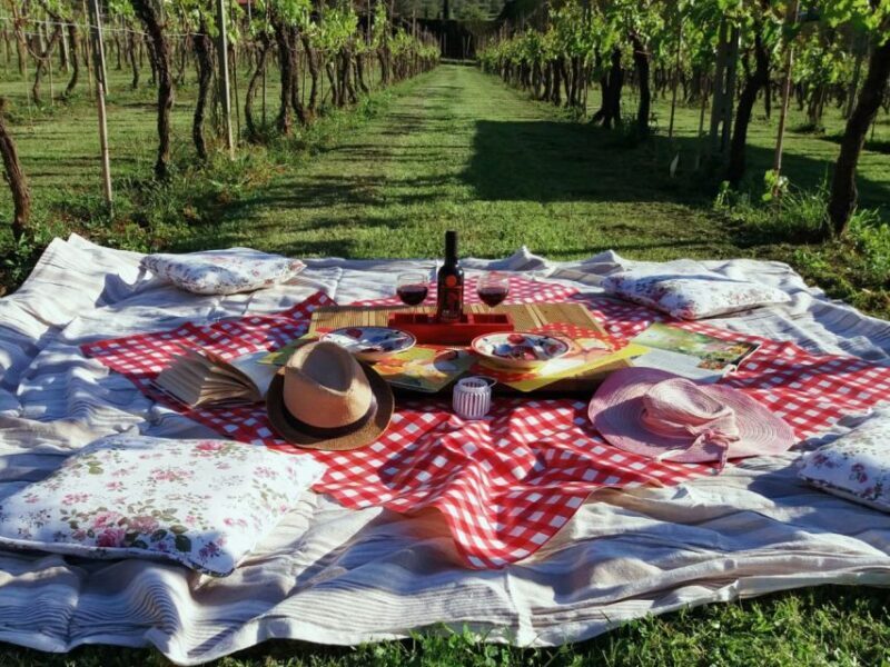 Lucca: Picnic Lunch at a Vineyard by Bike - Key Points