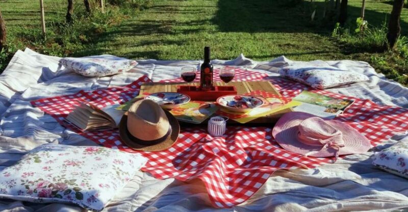 Lucca: Picnic Lunch at a Vineyard by Bike - The Experience Compared to Similar Tours
