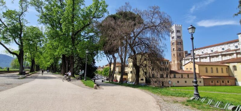 Lucca: private visit of S. Martino, S. Frediano, city center - Why Choose This Tour?