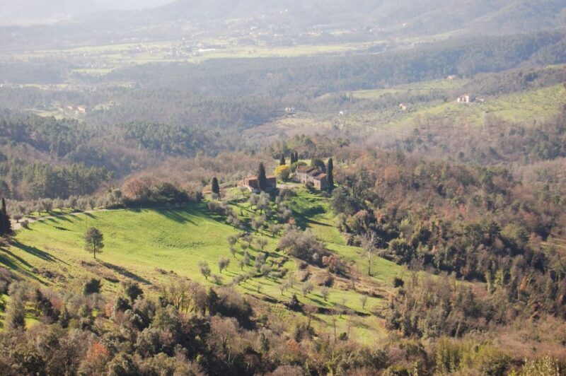 Lucca: Self-Guided Bike Tour to the Wine Roads - What’s Included and What You’ll Need to Bring