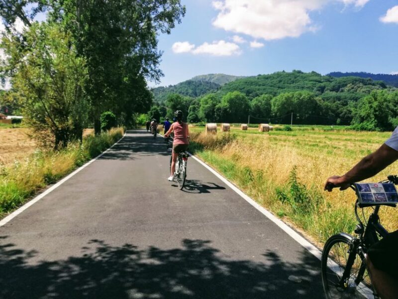 Lucca: Self-Guided Bike Tour to the Wine Roads - What the Reviews Say