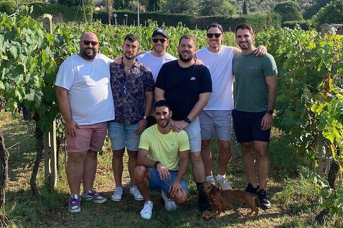 Lucca tour and Pisa Tower + WineTasting by van from Livorno Port - Final Stop: Pisa and the Leaning Tower