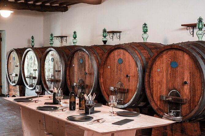 Lucca: Wine Tasting Experience - Tenuta Adamo Winery - What You Can Expect from the Tour