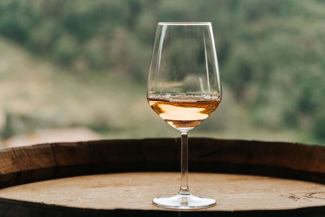 Lucca: Wine Tasting Experience - Tenuta Adamo Winery - Final Thoughts