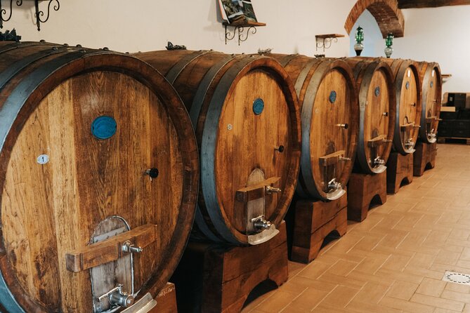 Lucca: Wine Tasting Experience - Tenuta Adamo Winery - Tours, Groups, and the Private-Tour Confusion