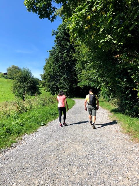 Lucerne: Farm Tour and Cheese Tasting - Key Points