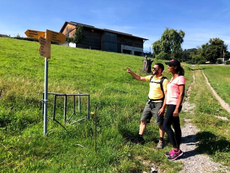 Lucerne: Farm Tour and Cheese Tasting - The Experience in Detail: What to Expect