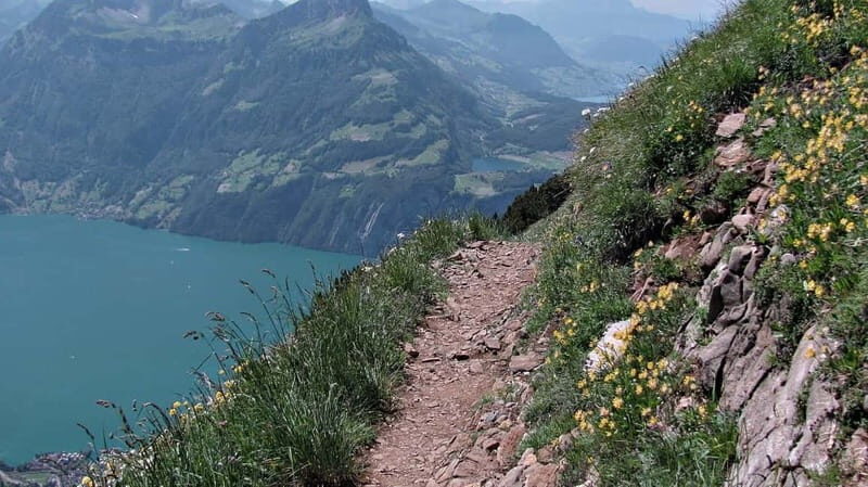 Lucerne: Guided Day Hike to Lucerne Ridge & Lake Views - The Sum Up