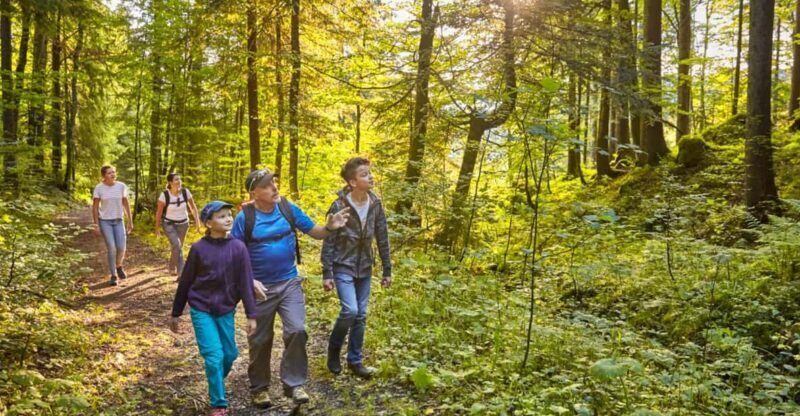 Lucerne: Guided hike on the Pilatus with barbecue experience - Final Thoughts — Is This Tour Worth It?