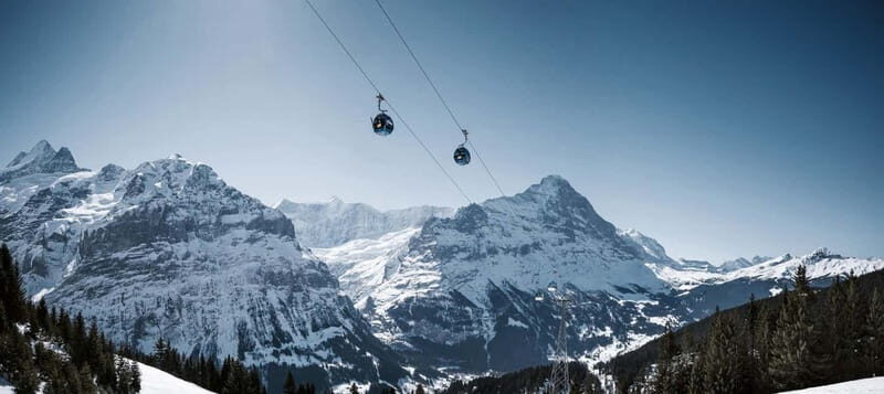 Lucerne: Interlaken and Grindelwald Swiss Alps Day Trip - Who Should Consider This Tour?