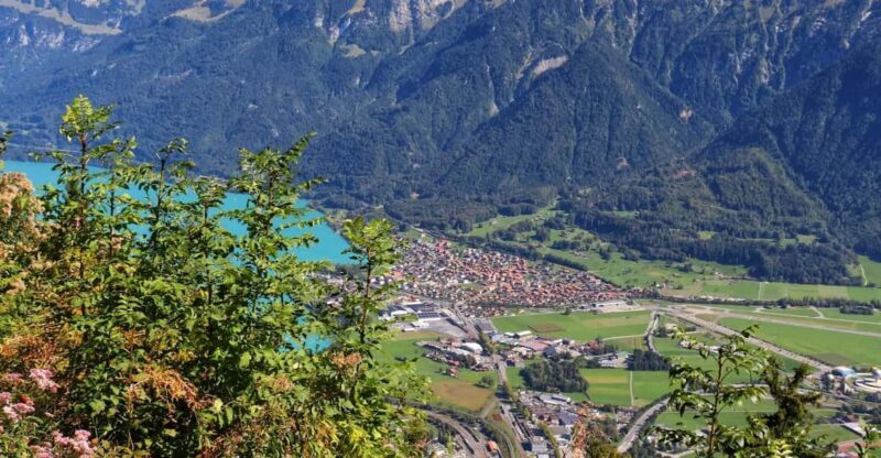 Lucerne: Interlaken & Grindelwald Exclusive Private Day Tour - Final Thoughts