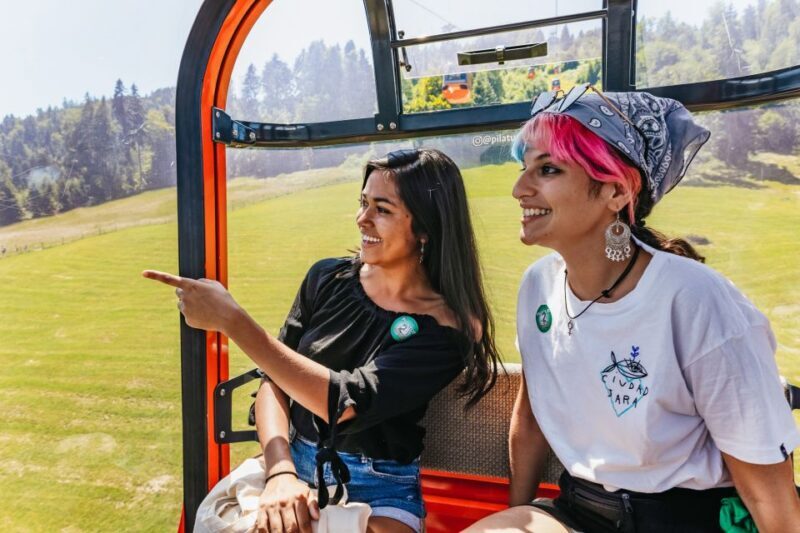 Lucerne: Mt. Pilatus Cable Car, Cogwheel Train & Lake Cruise - Who Should Consider This Tour