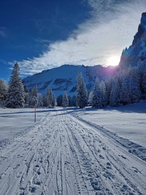 Lucerne: Private Snowshoe Tour - What’s Included and Why It Matters