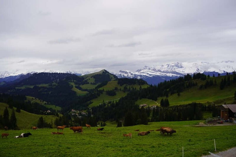 Lucerne: Rigi and Pilatus Private Guided Day Trip - FAQs