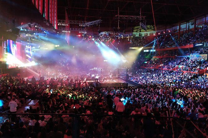 Lucha Libre wrestling show, tacos and beer with artist - The Sum Up: Is This Tour Right for You?