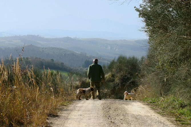 Luck and Patience: truffle hunting in Tuscany - A Few Final Thoughts