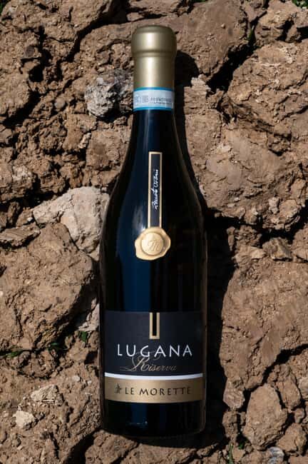 Lugana Special: tour and tasting to discover the area - What to Expect from the Tour