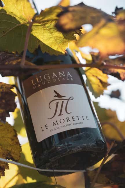 Lugana Special: tour and tasting to discover the area - Who Should Consider This Tour?