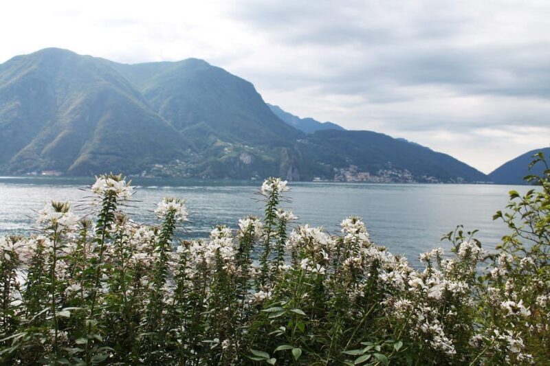 Lugano - Private Walking Tour - Exploring Lugano on Foot: What’s Included and What to Expect
